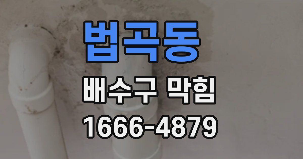 법곡동 배수구 막힘