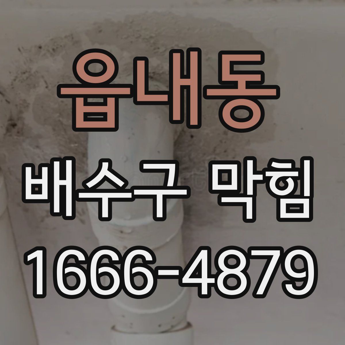 읍내동 배수구 막힘