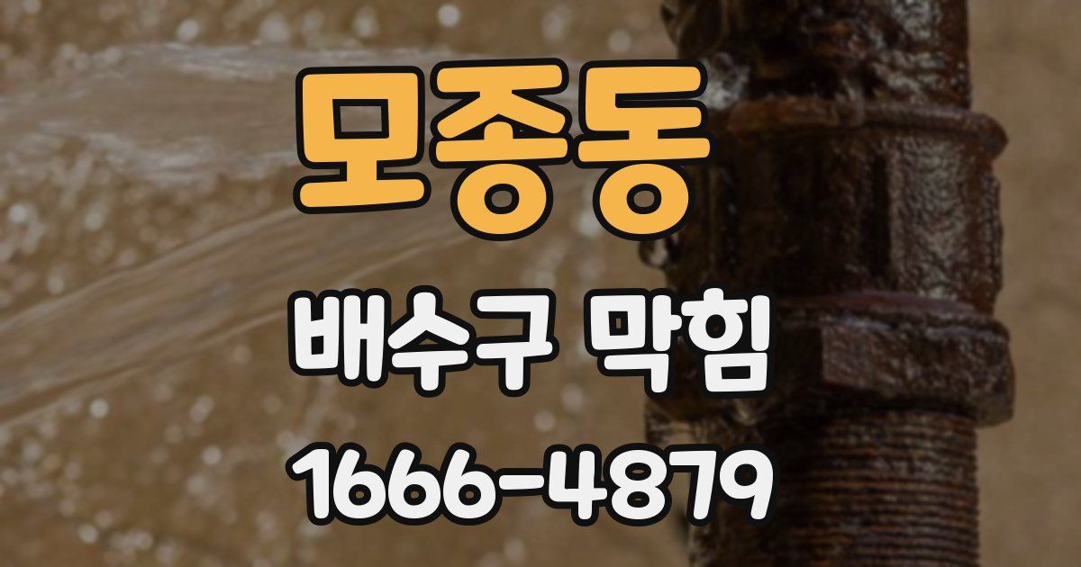 모종동 배수구 막힘