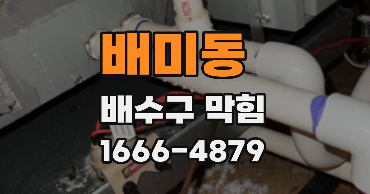 배미동 배수구 막힘