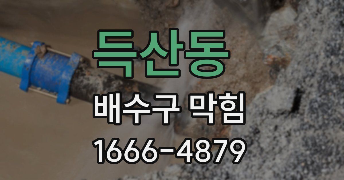 득산동 배수구 막힘