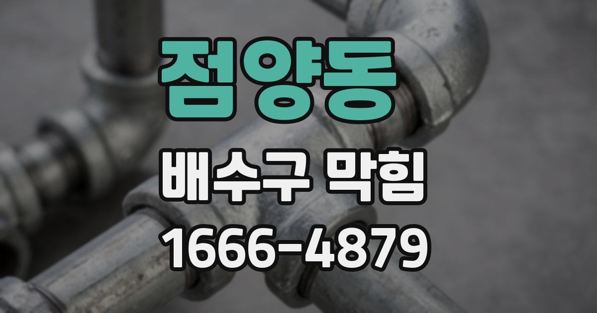 점양동 배수구 막힘
