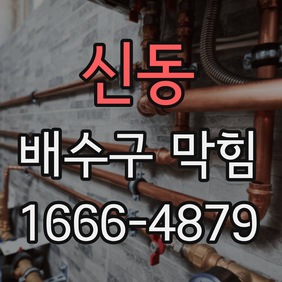 신동 배수구 막힘