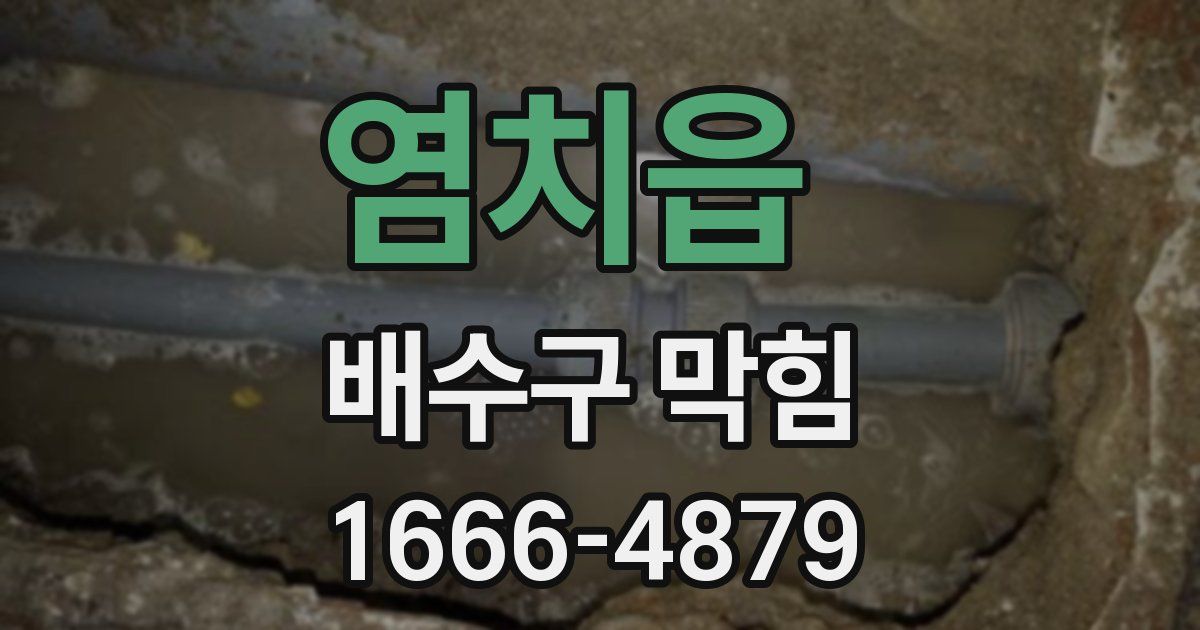 염치읍 배수구 막힘