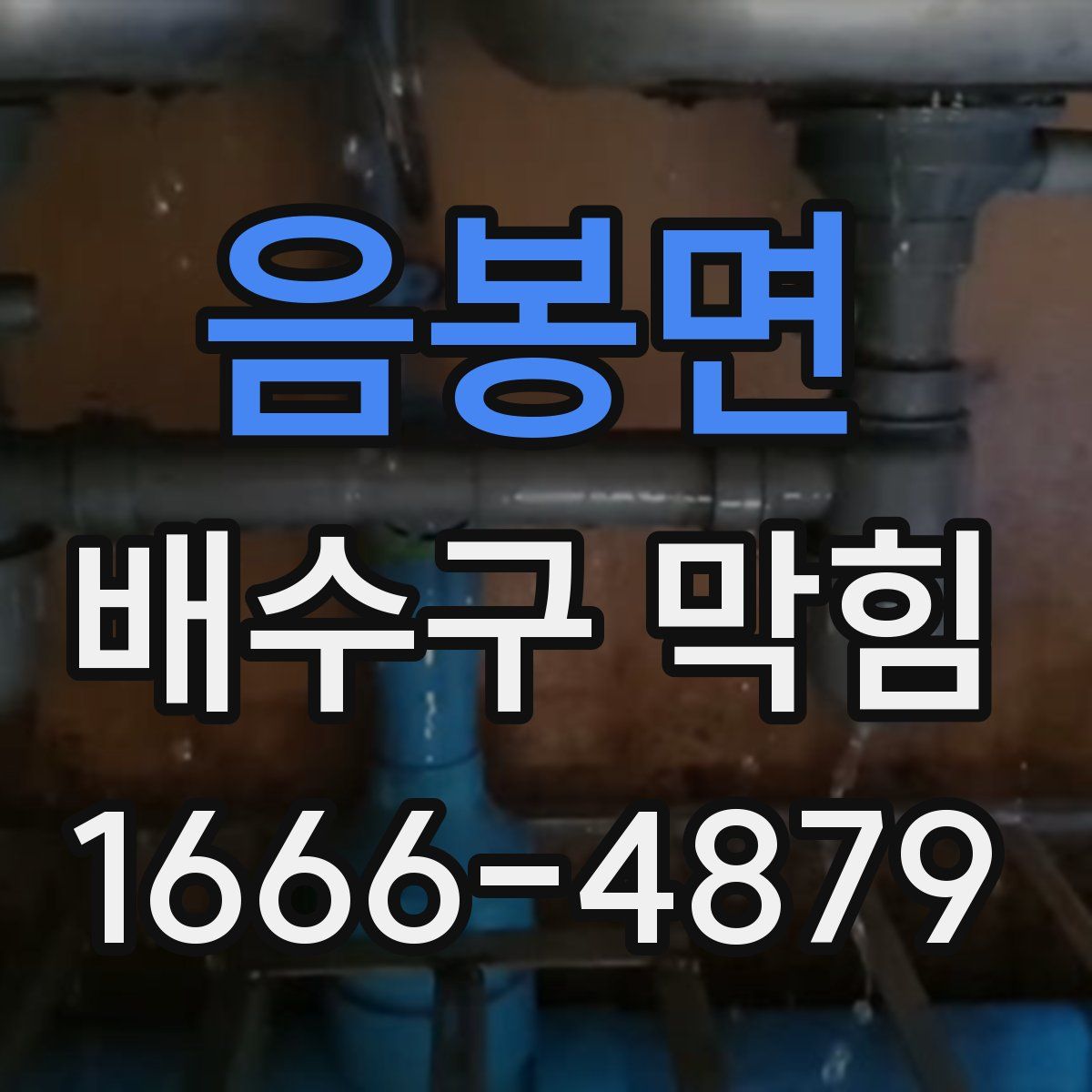 음봉면 배수구 막힘