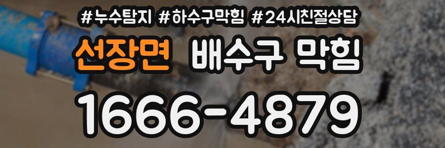 선장면 배수구 막힘