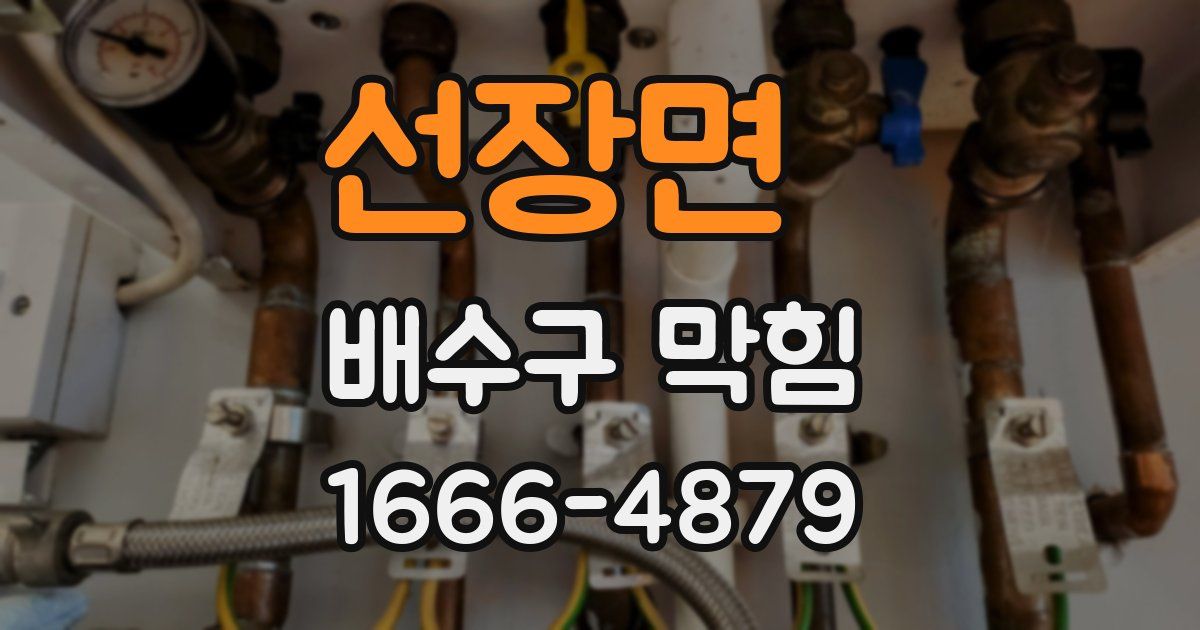 선장면 배수구 막힘