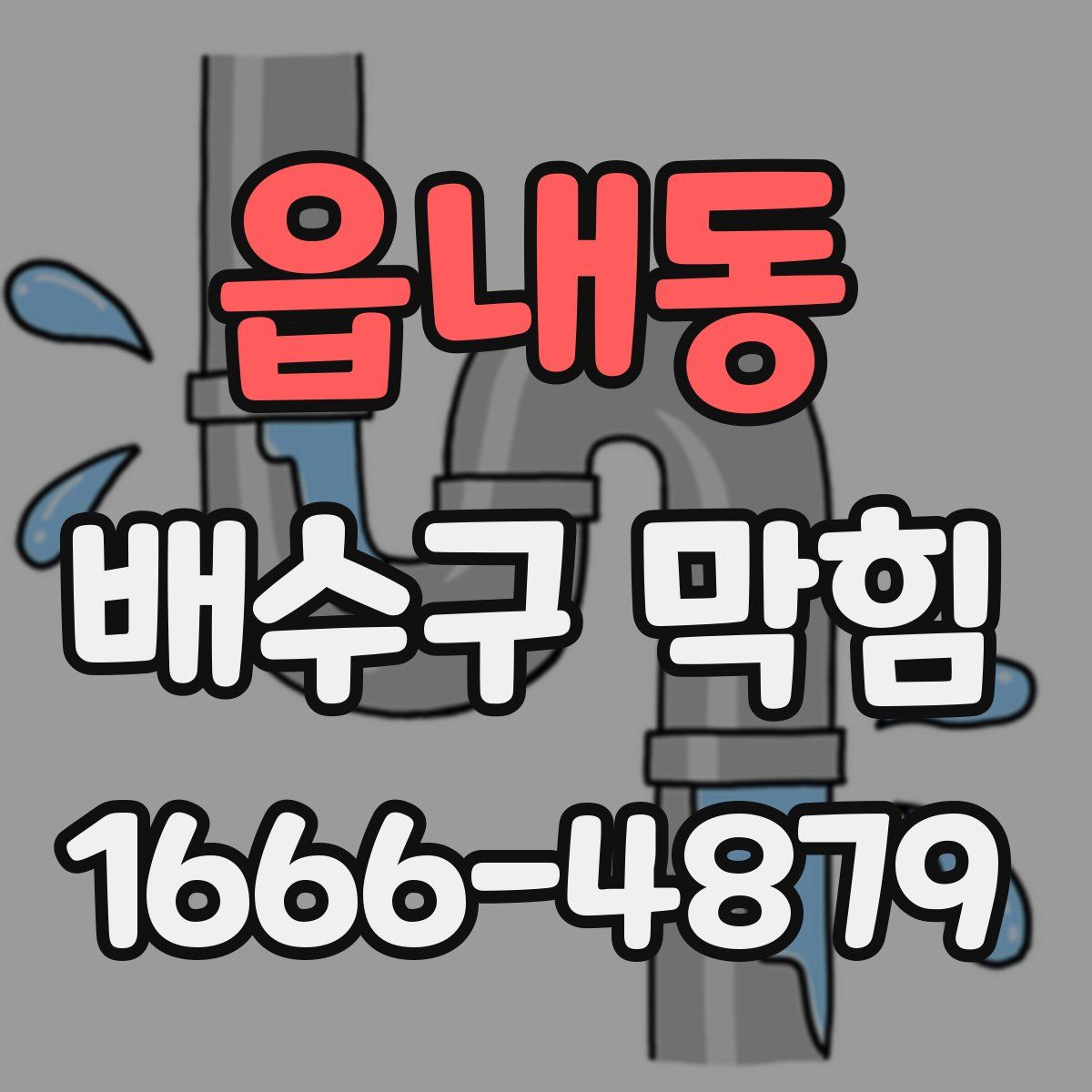 읍내동 배수구 막힘