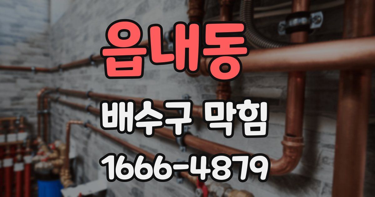 읍내동 배수구 막힘