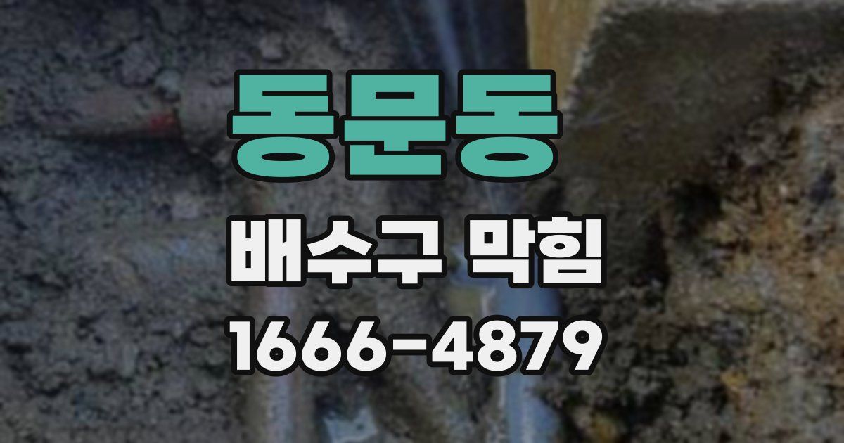 동문동 배수구 막힘