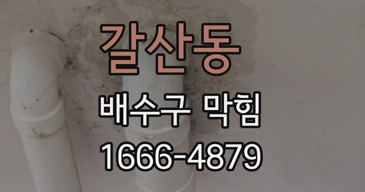 갈산동 배수구 막힘