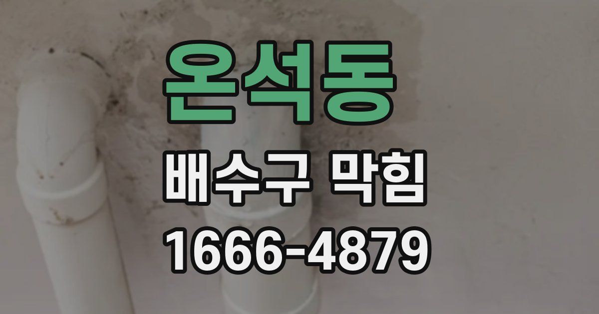 온석동 배수구 막힘