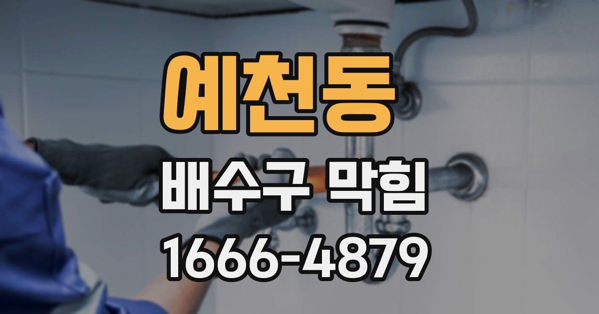 예천동 배수구 막힘