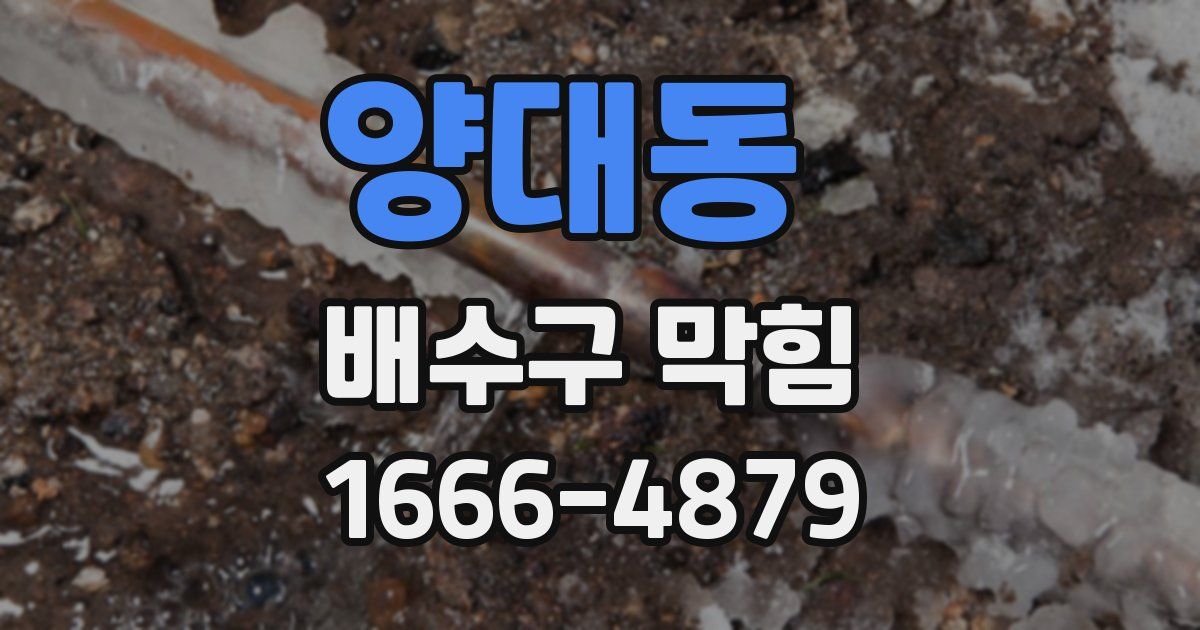 양대동 배수구 막힘