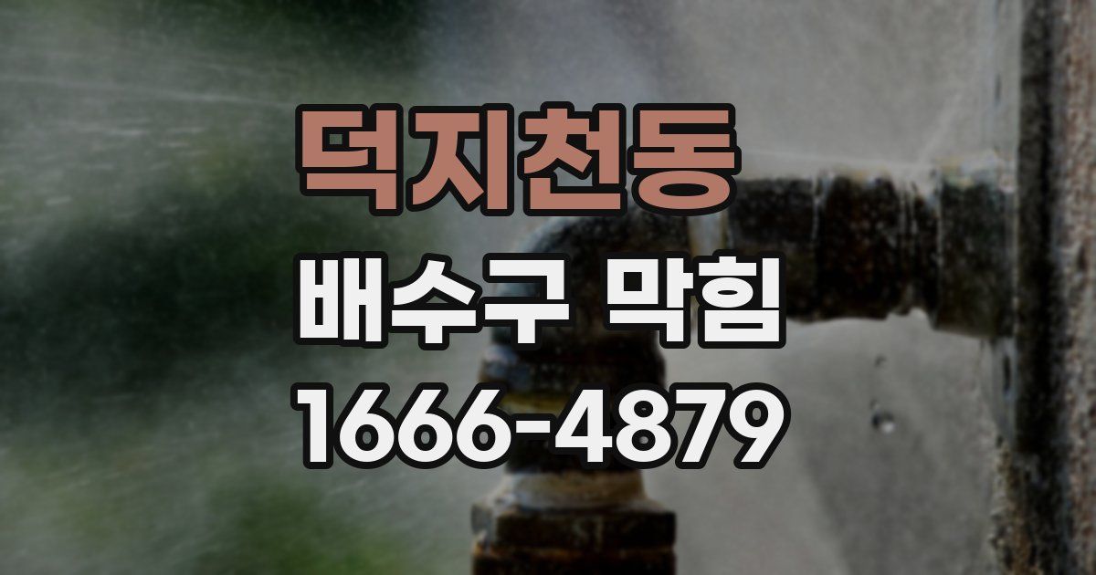 덕지천동 배수구 막힘