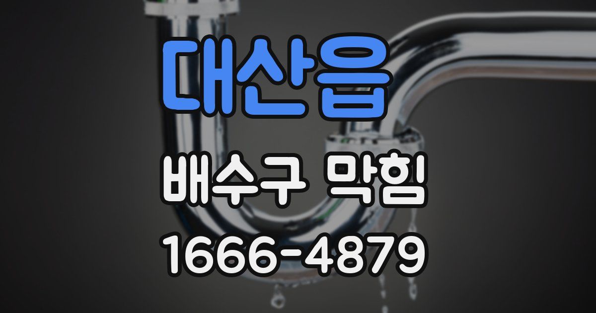대산읍 배수구 막힘