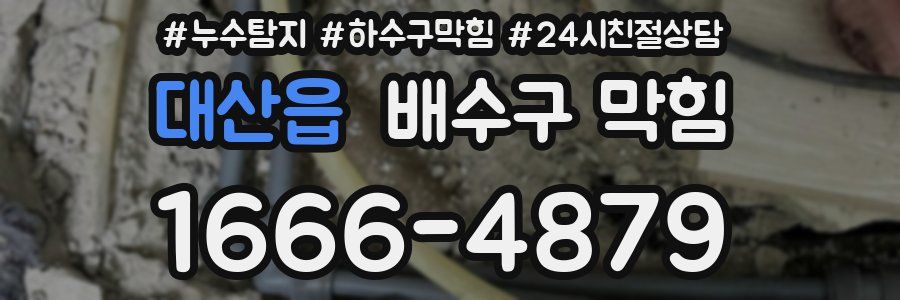 대산읍 배수구 막힘