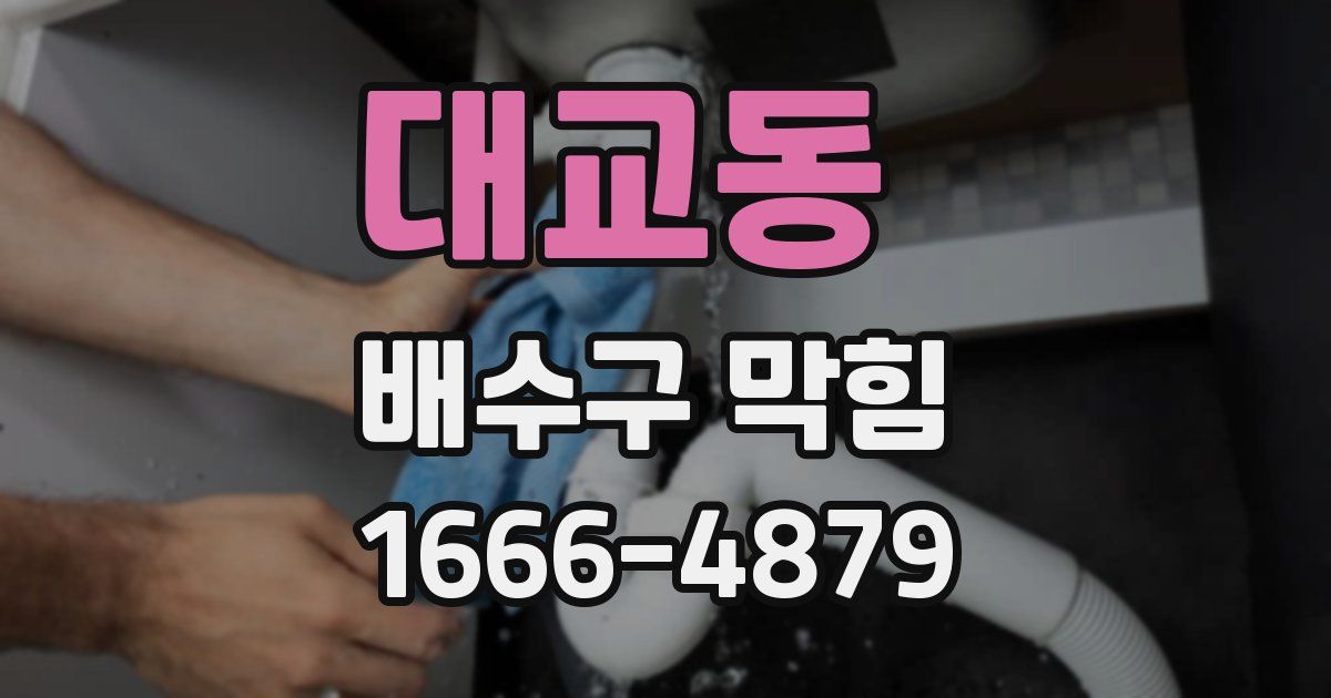 대교동 배수구 막힘