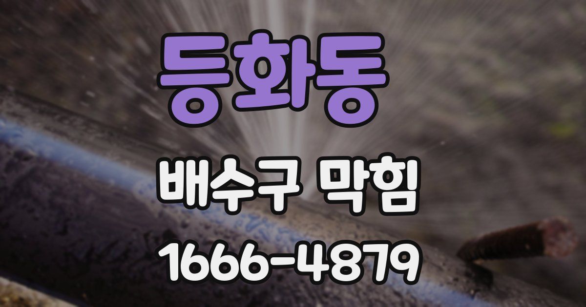 등화동 배수구 막힘
