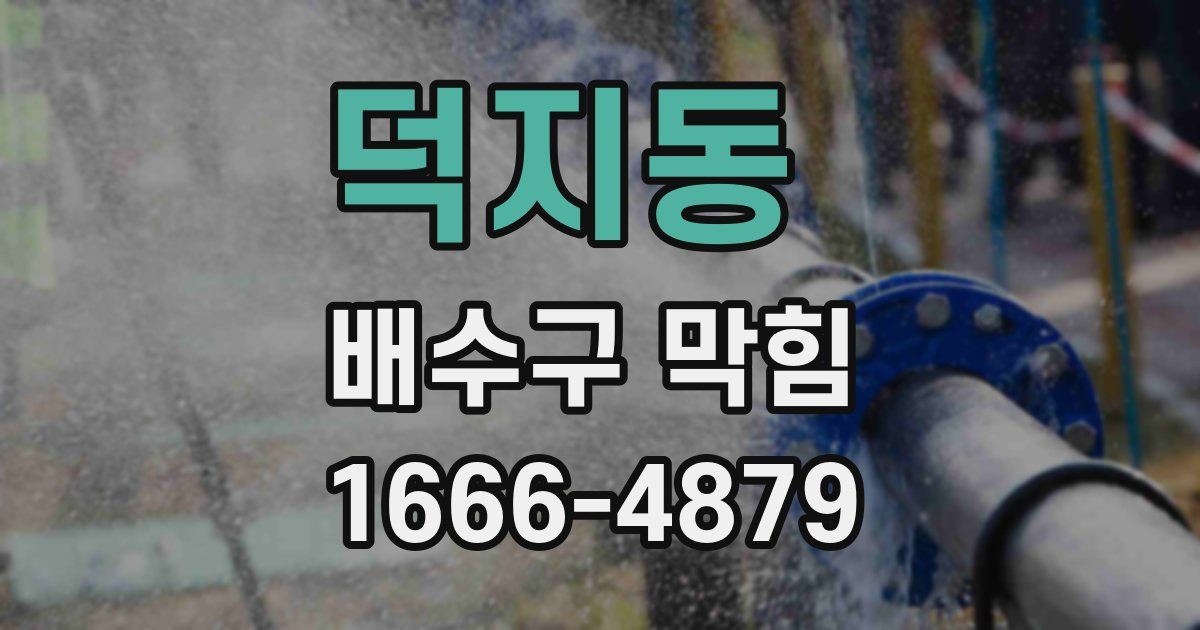 덕지동 배수구 막힘