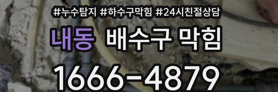 내동 배수구 막힘