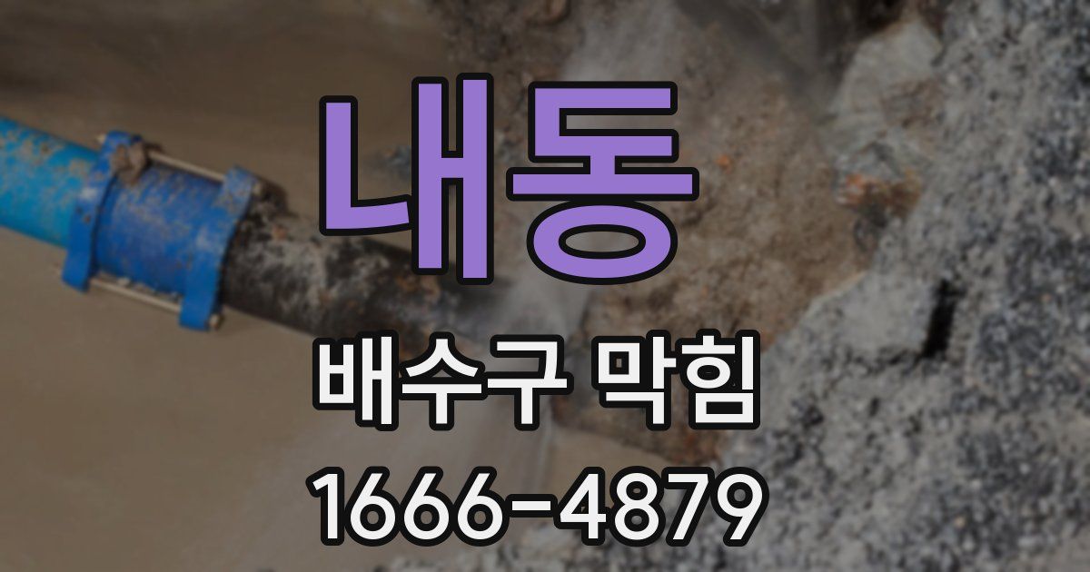 내동 배수구 막힘