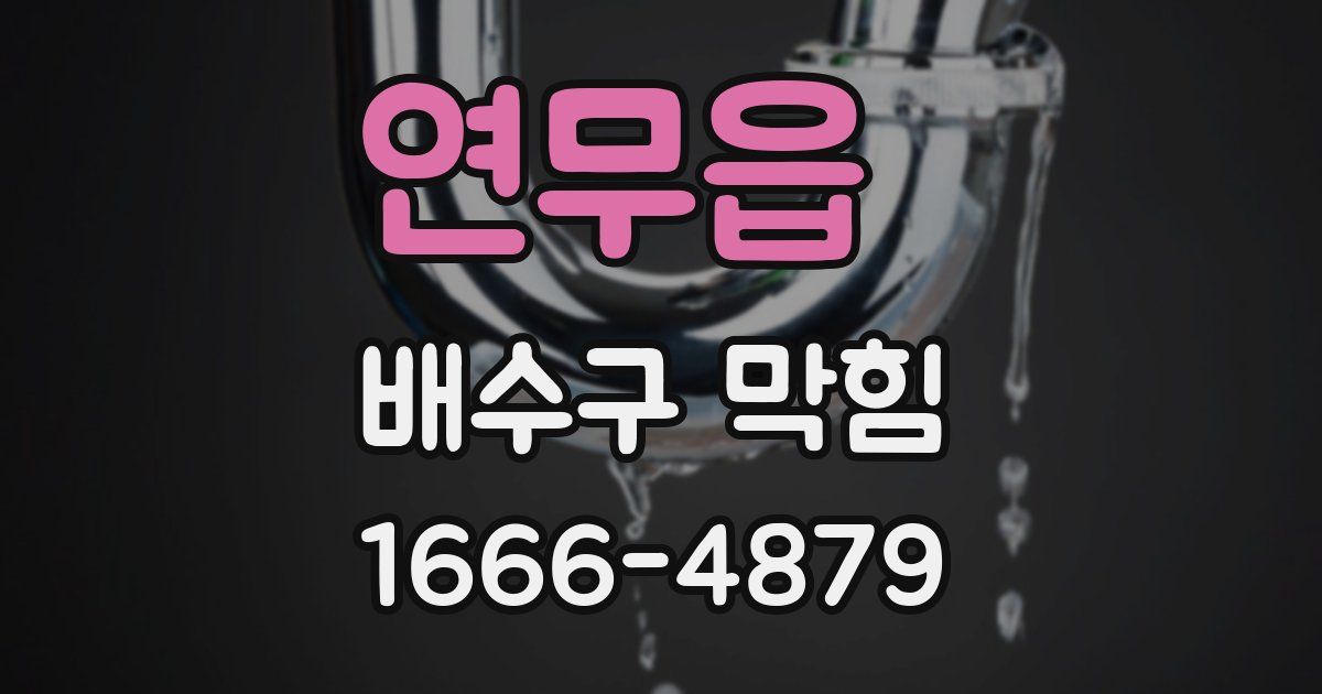 연무읍 배수구 막힘