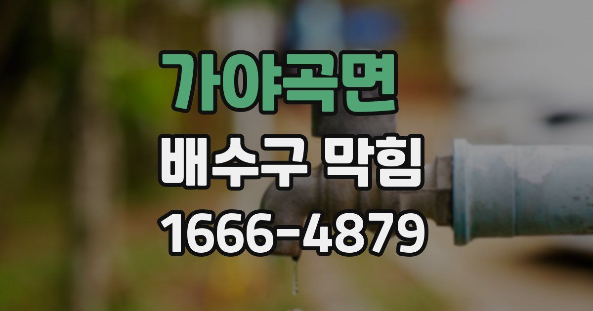 가야곡면 배수구 막힘