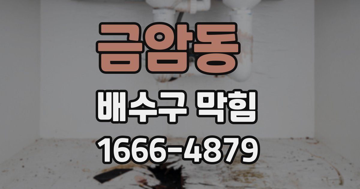금암동 배수구 막힘