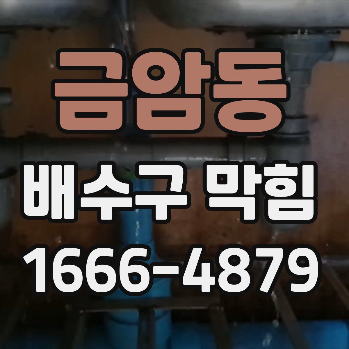 금암동 배수구 막힘