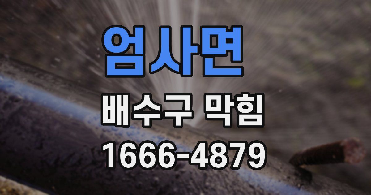 엄사면 배수구 막힘