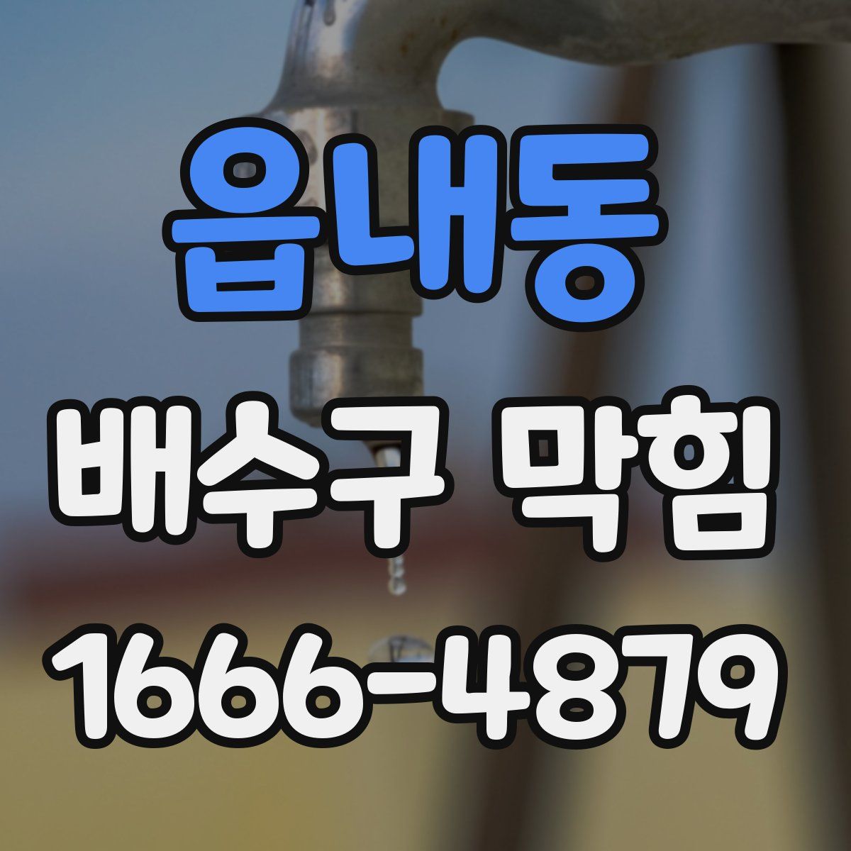 읍내동 배수구 막힘