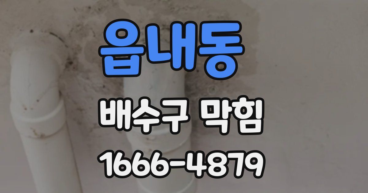 읍내동 배수구 막힘