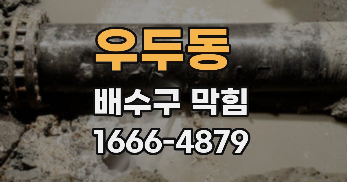 우두동 배수구 막힘