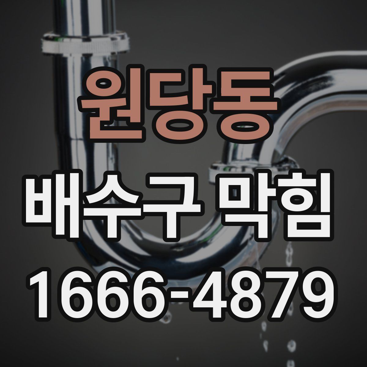 원당동 배수구 막힘