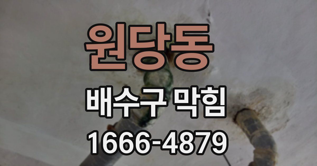 원당동 배수구 막힘