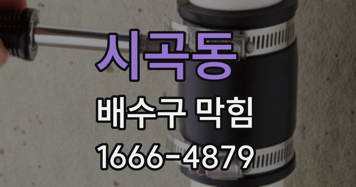 시곡동 배수구 막힘
