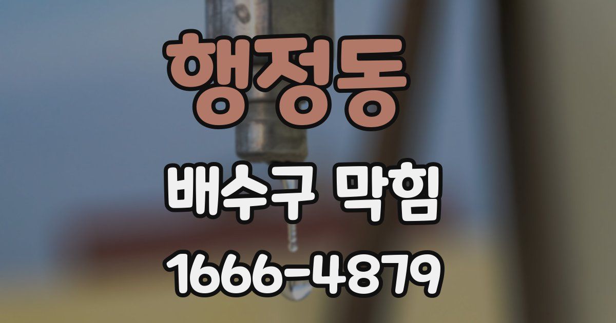 행정동 배수구 막힘