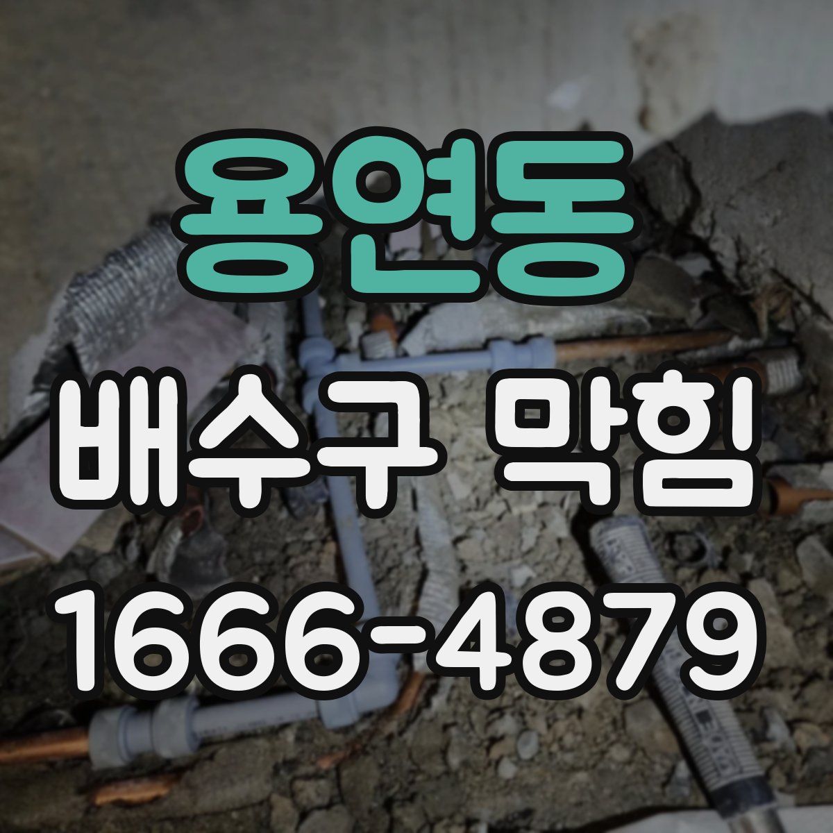 용연동 배수구 막힘