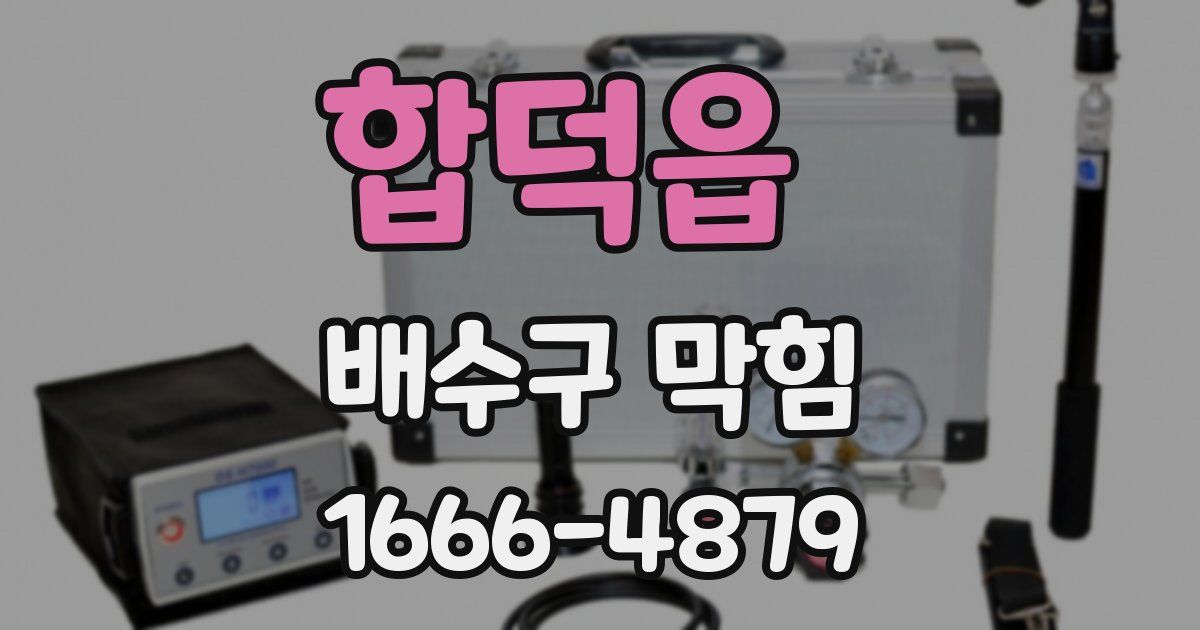 합덕읍 배수구 막힘