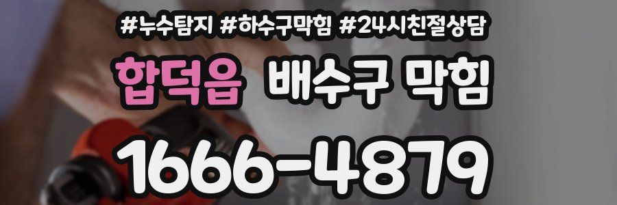 합덕읍 배수구 막힘