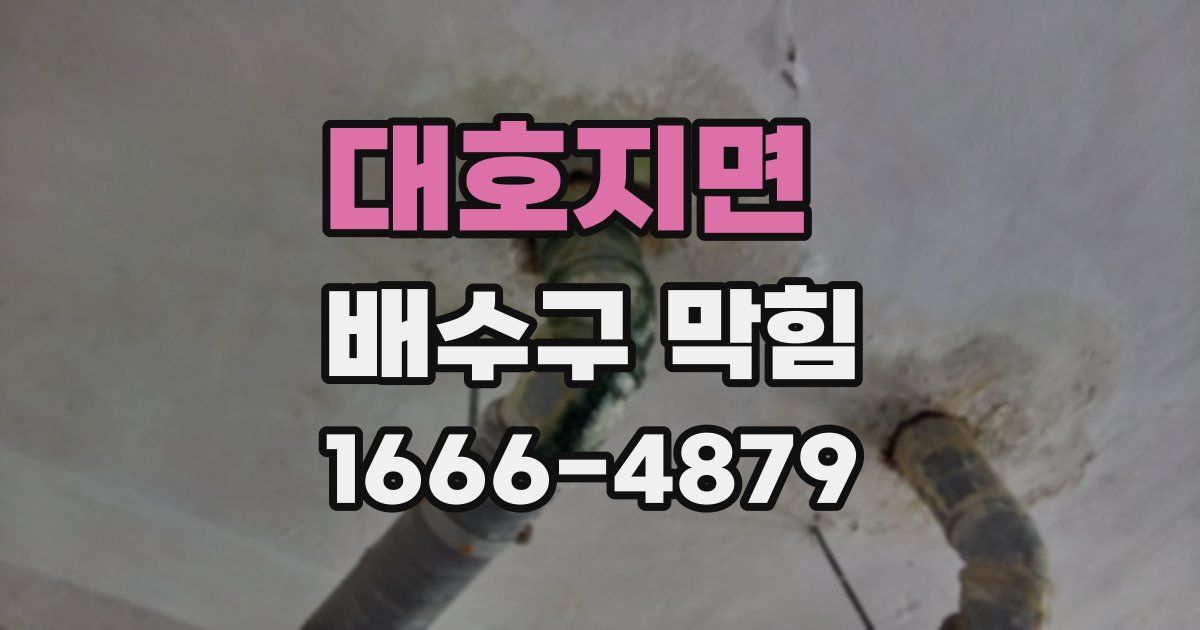 대호지면 배수구 막힘