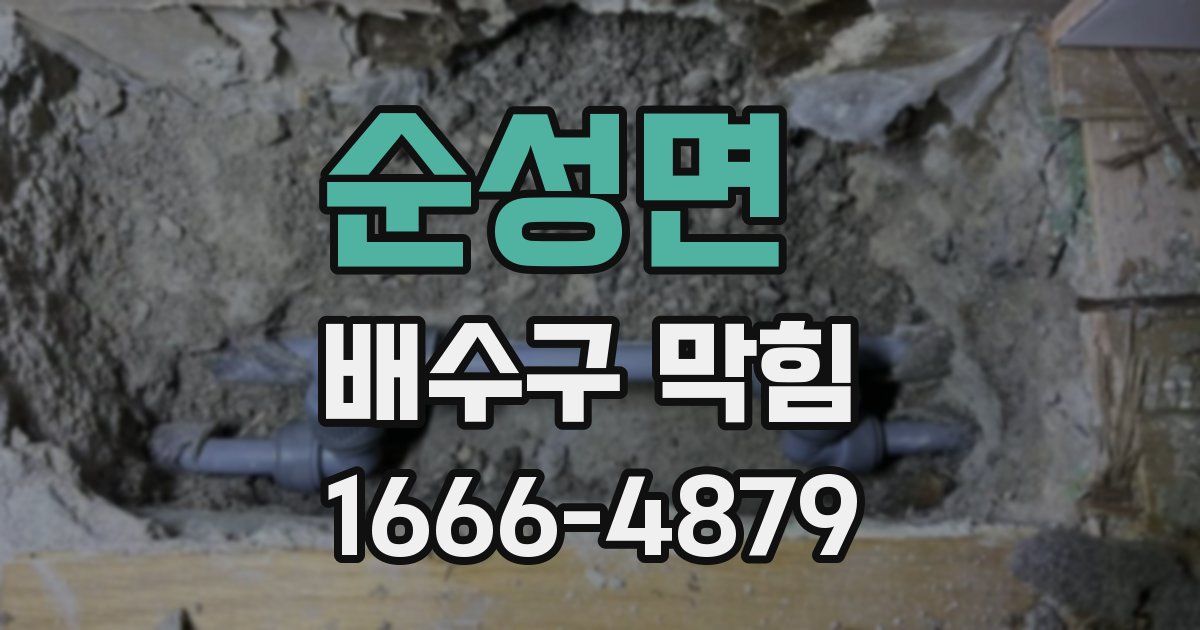 순성면 배수구 막힘