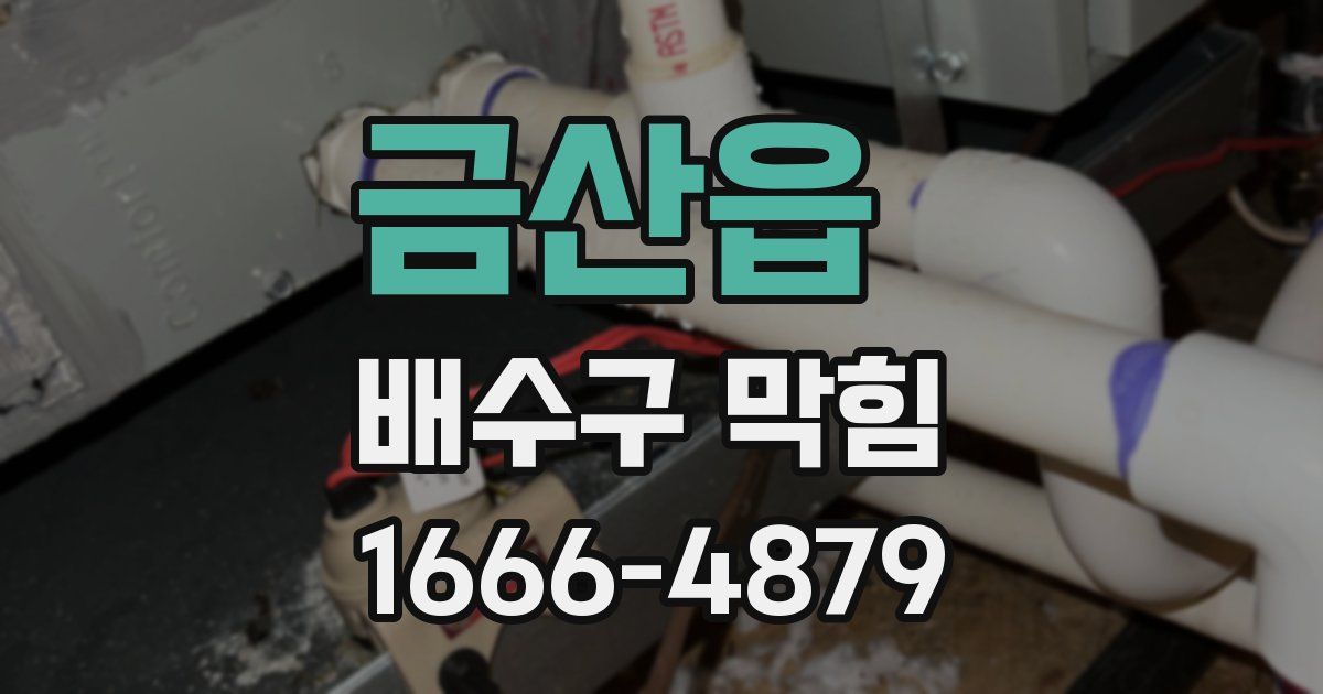 금산읍 배수구 막힘