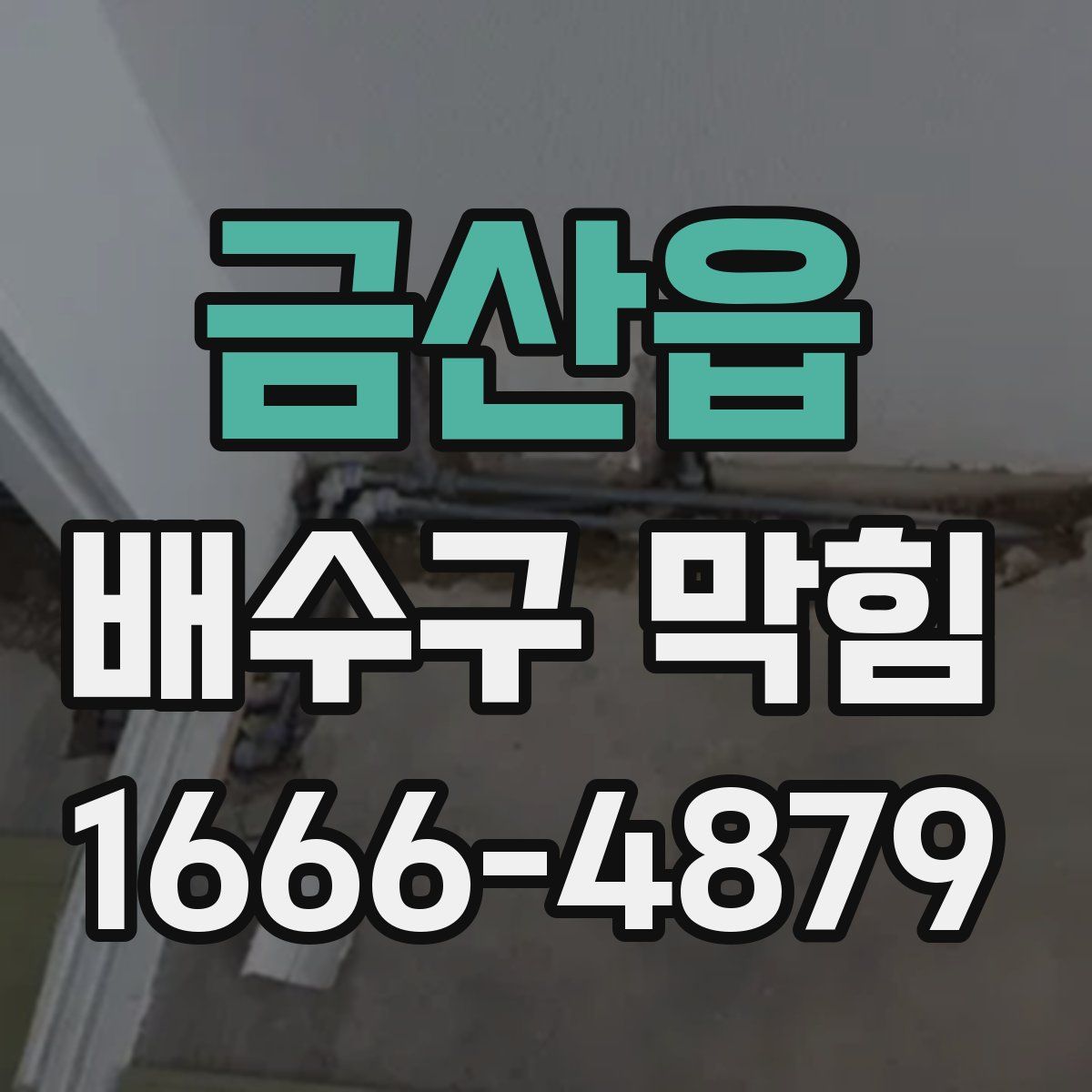 금산읍 배수구 막힘