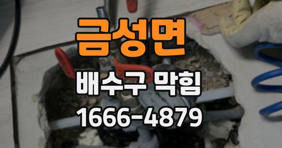 금성면 배수구 막힘