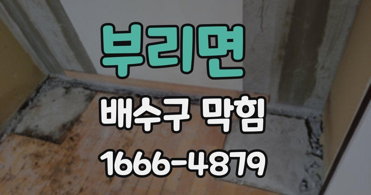 부리면 배수구 막힘
