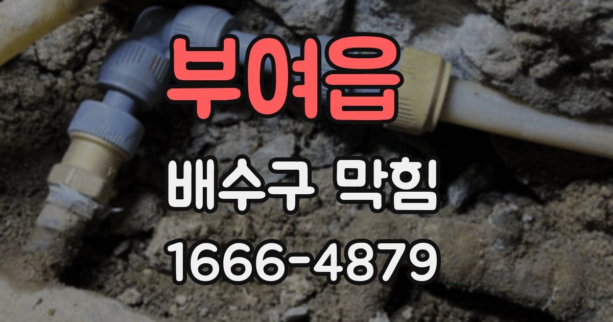 부여읍 배수구 막힘