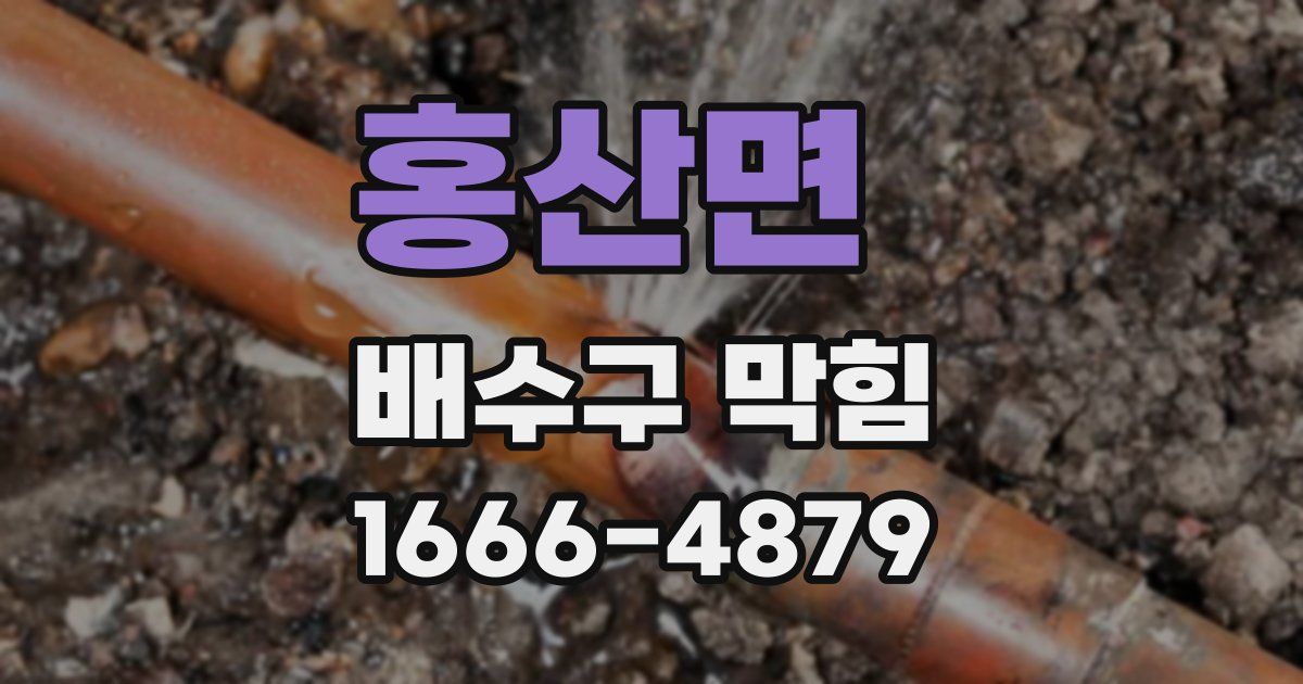 홍산면 배수구 막힘