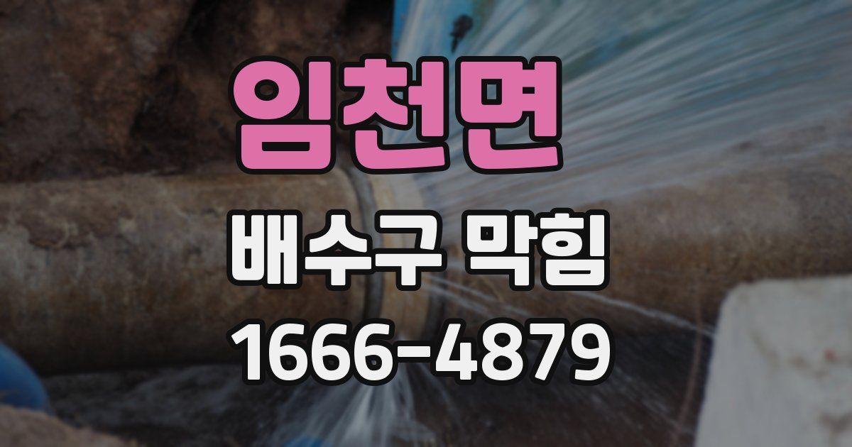 임천면 배수구 막힘